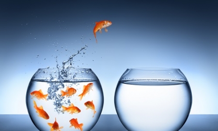 You have full ownership of your journey